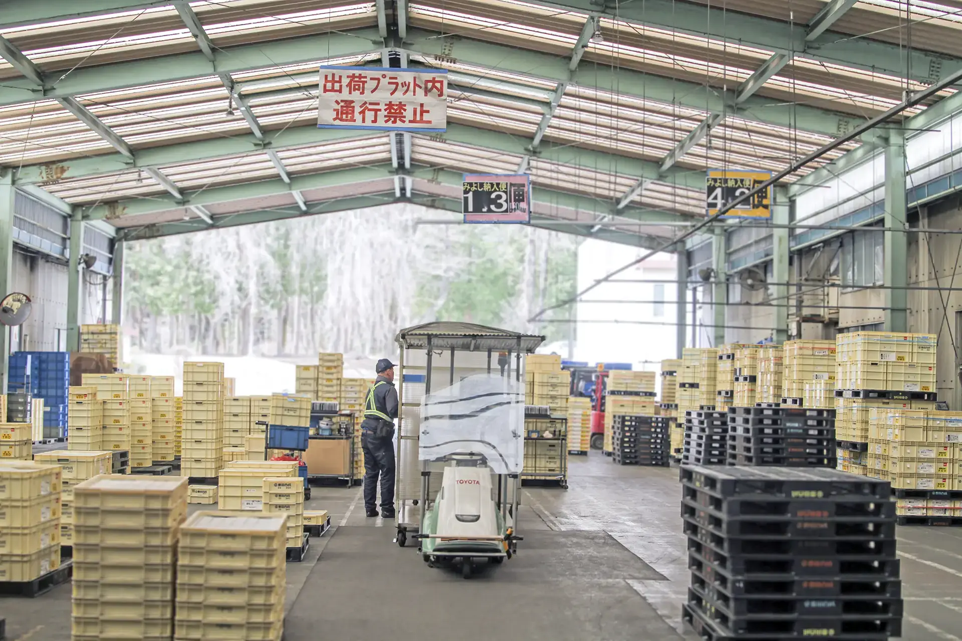 豊信合成ギャラリー